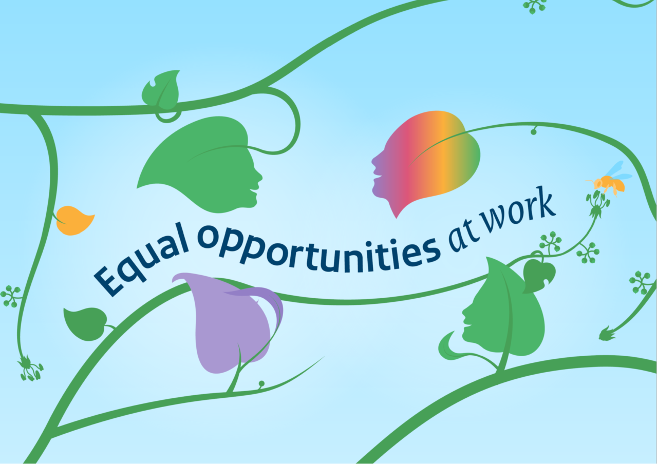 Equal Opportunities at work (D&I)